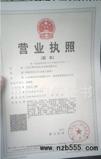 营业执照