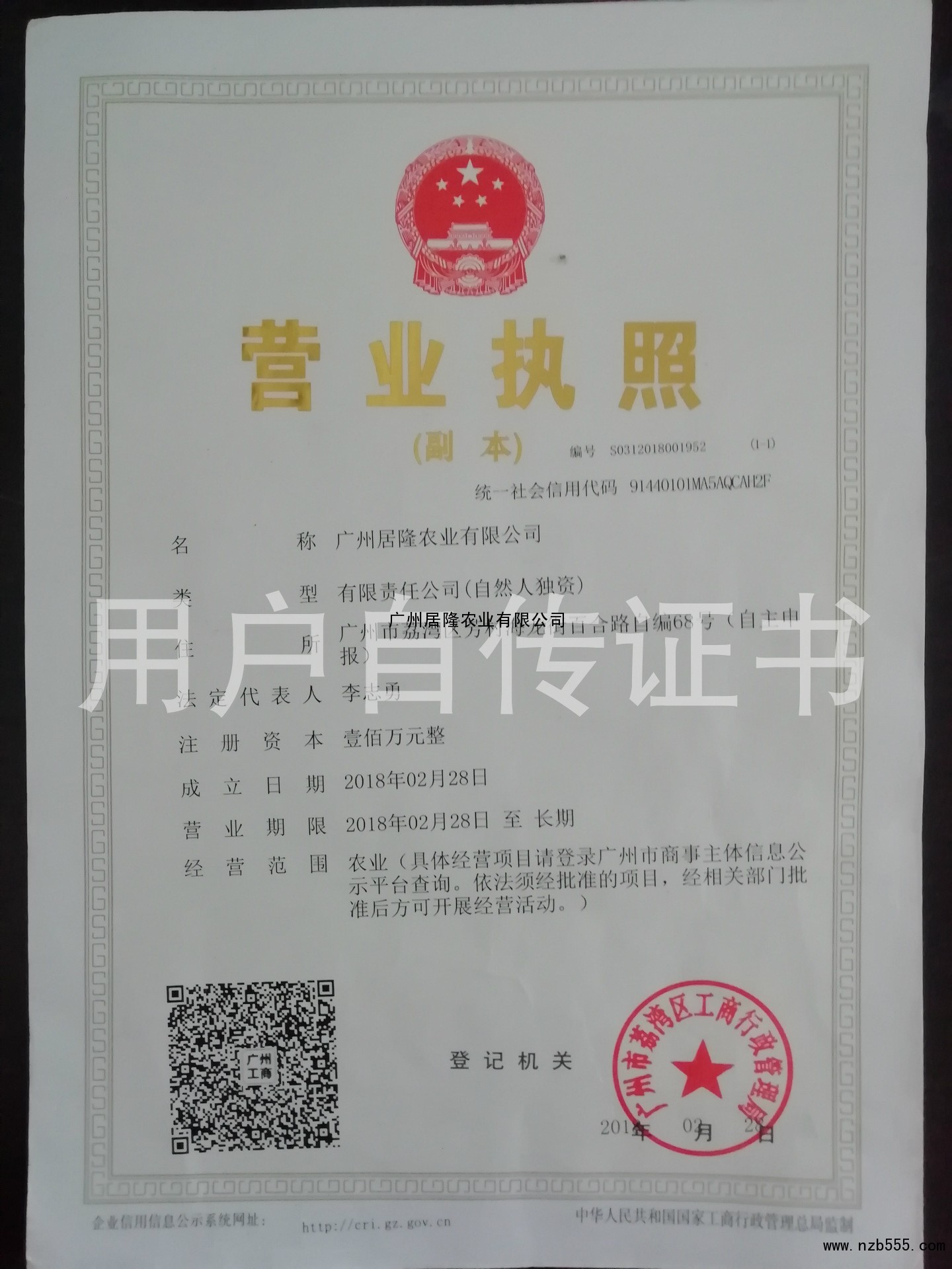 荣誉证书