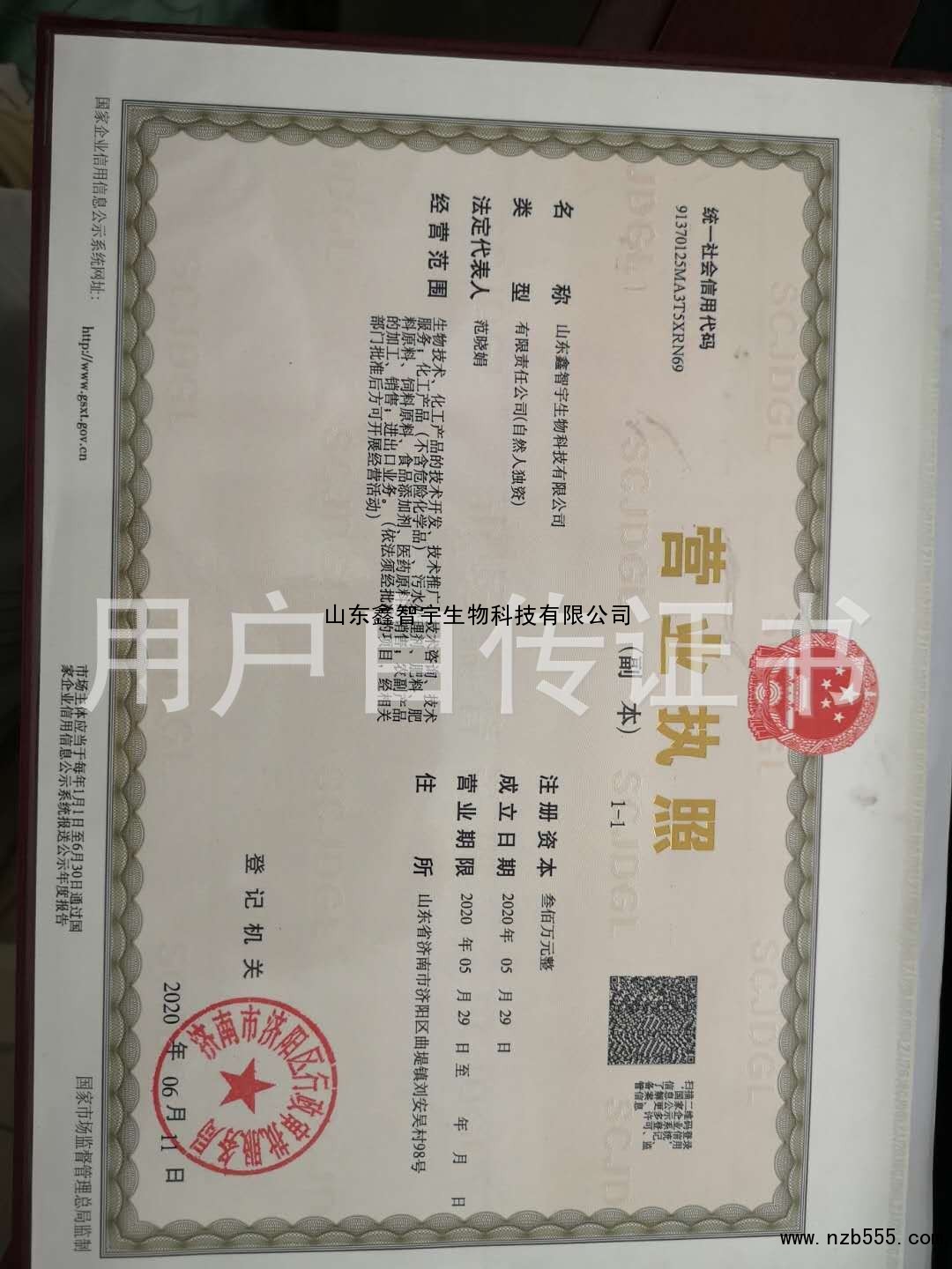 荣誉证书