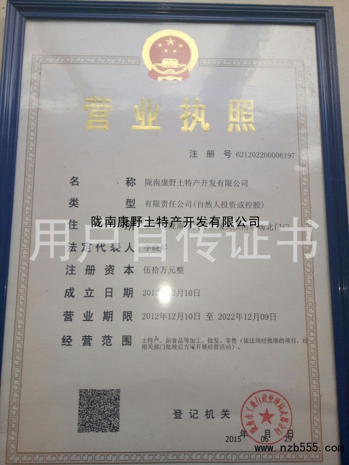 营业执照