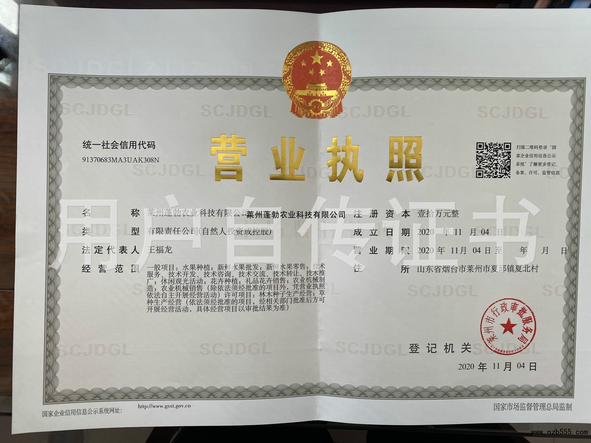 营业执照