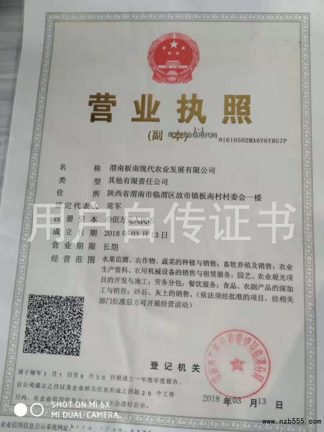 营业执照