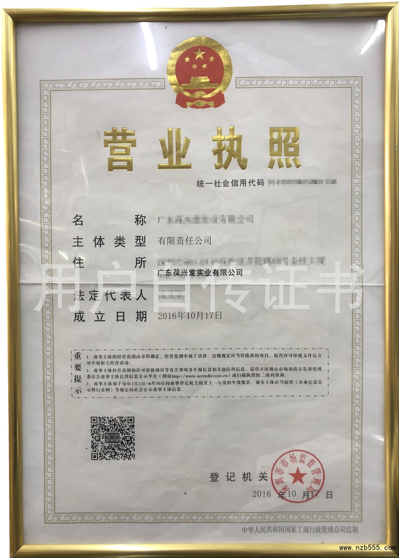 广东葆兴堂实业有限公司