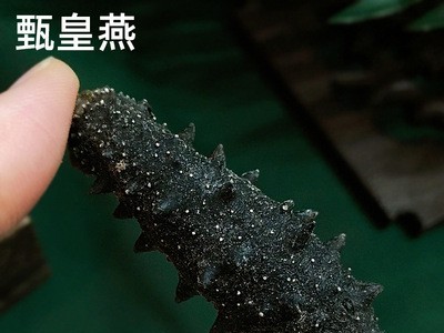 辽参淡干海参 海参干货 厂家直销货源充足 可一件代发 50克起批图3