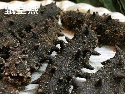 辽参淡干海参 海参干货 厂家直销货源充足 可一件代发 50克起批图4