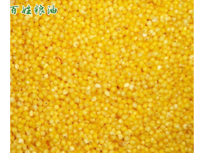 大量供应米糠油糠 养鱼家禽家畜饲料米糠营养丰富高蛋白图3