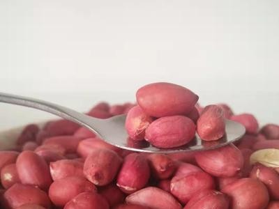 红花生现货批发 花生特产小吃坚果零食 红皮花生米厂家代发图1