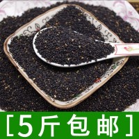 熟黑芝麻 小粒黑芝麻更香 味更足500g五谷杂粮