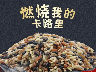三色糙米健身糙米饭糙米新米5斤玄米杂粮饭粗粮五谷杂粮批发代发图1