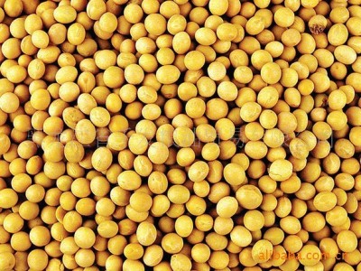 黄豆五谷杂粮豆浆包原味豆浆图1