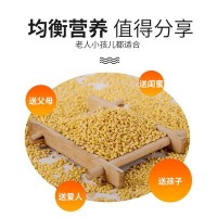 东北五谷杂粮大黄米400g袋装有机黄粘糯小米黍米厂家批发粽子米