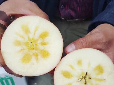 顺丰快递新疆阿克苏冰糖心苹果应季水果脆甜红富士一件代发图1