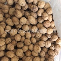 云南核桃500g 办公室休闲零食坚果散装核桃批发 云南核桃