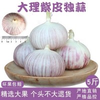 云南新鲜独头蒜紫皮大蒜新蒜头独蒜批发3斤中果2.5-3.2cm