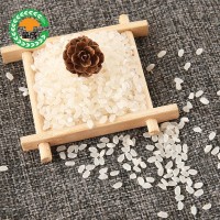童成米业大米 生产厂家供应小农粘25kg大米浓香可口 农产品批发