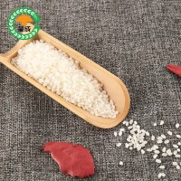 大米厂家香南梗25kg农产品稻谷不抛光不打蜡大米梗米产地批发