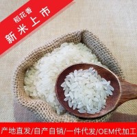 五常大米稻花香2号新米粳米东北大米OEM贴牌批发一件代发