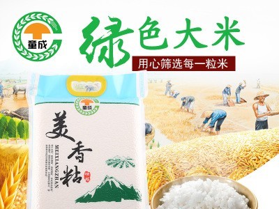 厂家生产 包装美香粘5KG晶莹剔透口感柔软 顺滑余香 童成米业图1