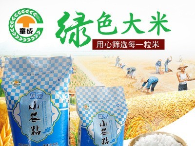 童成米业大米 生产厂家供应小农粘25kg大米浓香可口 农产品批发图1
