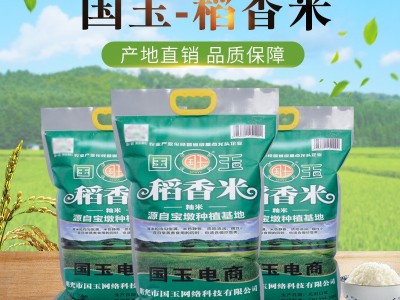 现货批发 国玉稻香米2.5kg 农家大米精选5斤袋装大米籼米量大优惠图1