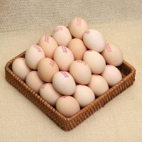 现货销售 健康新鲜富硒土鸡蛋农家鸡蛋鲜鸡蛋360枚箱装