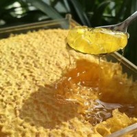 蜂蜜 农家自产蜂蜜 五常椴树蜂蜜