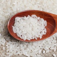 新大米东北五常特产长香米绿茯大米25公斤黑龙江长粒香大米批发
