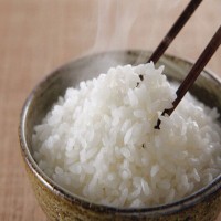 批发金元宝长粒香大米20斤袋装稻花香米碎米10kg珍珠大米一件代发