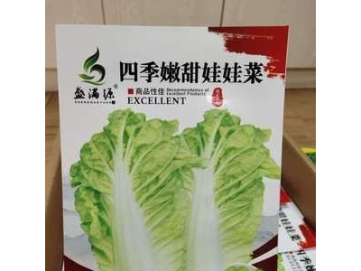 清香美味好吃又好卖四季可种的娃娃菜图1