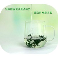 供应批发绞股蓝 花草茶叶 七叶甘味绞股蓝嫩叶茶湖南绥宁厂家货源