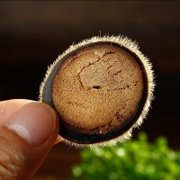 产地鹿茸碎片鹿鹿茸切片泡酒煮粥鹿场直供鹿茸现货批发