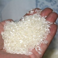 新米自产五常大米 农民合作社5kg2号稻花东北香大米