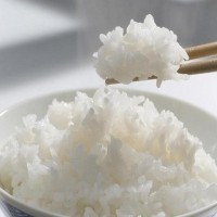 厂家直销稻香米20斤19年东北新大米批发零售亿芳海珍珠米长粒香