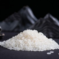 厂家直销金贝河稻香米10斤 19年东北新米批发零售