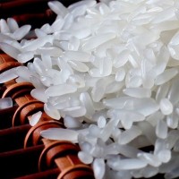 厂家直销东北大米50斤【新米】批发零售金贝河长粒香稻香米