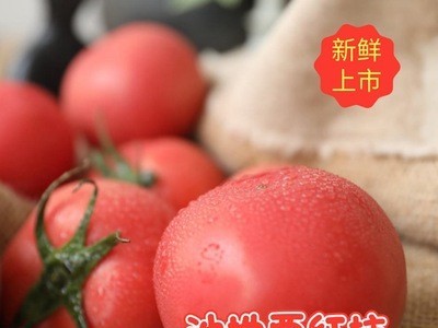 甘肃特产沙地西红柿 口感番茄 高原生态蔬菜 新鲜番茄 顺丰包邮图1