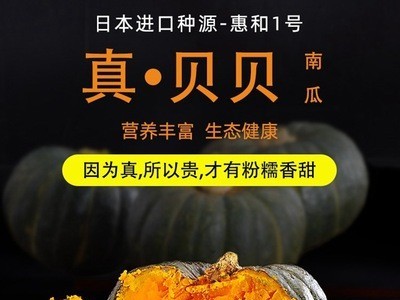 甘肃沙漠正宗日本惠和1号贝贝南瓜板栗味老瓜新鲜4斤宝宝辅食包邮图1