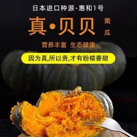 甘肃沙漠正宗日本惠和1号贝贝南瓜板栗味老瓜新鲜4斤宝宝辅食包邮