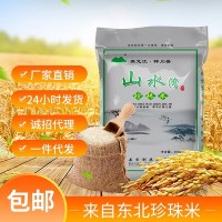 山水湾圆粒珍珠米厂家直供来自东北大米粒珍珠一件代发