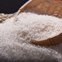 新米东北大米厂家批发样品2斤圆粒珍珠米一件代发