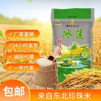 新米东北大米厂家直批珍珠米5kg圆粒10斤一件代发大米批发