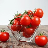 新鲜圣女果个大饱满樱桃小番茄西红柿水果蔬菜3/5斤批发现摘现发