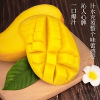 海南金煌芒果新鲜采摘大芒果当季鲜果甜心芒玉芒金煌芒3/5/9斤