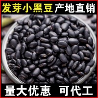 厂家批发发芽小黑豆1斤发豆芽专用黑豆黄心芯黑小豆芽豆贴牌代工