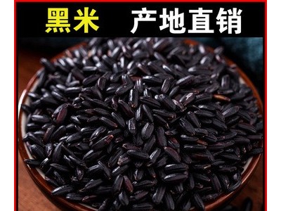 【厂家批发 加工定制】黑米黑香米黑大米粥原料五谷杂粮大量现货图1