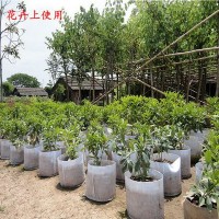广州厂家无纺布植树袋加厚白色种植袋育苗袋花卉苗木蔬菜栽培袋