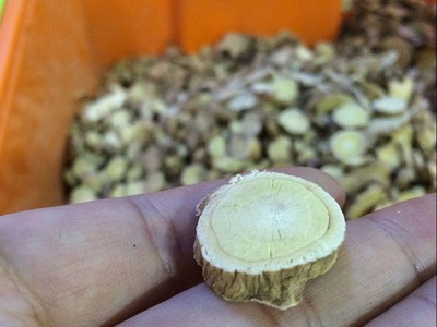 新货东北大兴安岭特产黄芪片手工切片北芪无硫500克包邮图1