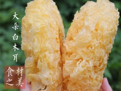 一件5公斤古田白木耳雪耳花大朵非丑耳小银耳大量批发图1