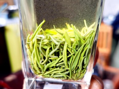 四川明前绿茶宜宾早茶白毫毛尖散装绿茶定制加工批发茶叶源头工厂图1