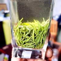 四川明前绿茶宜宾早茶白毫毛尖散装绿茶定制加工批发茶叶源头工厂